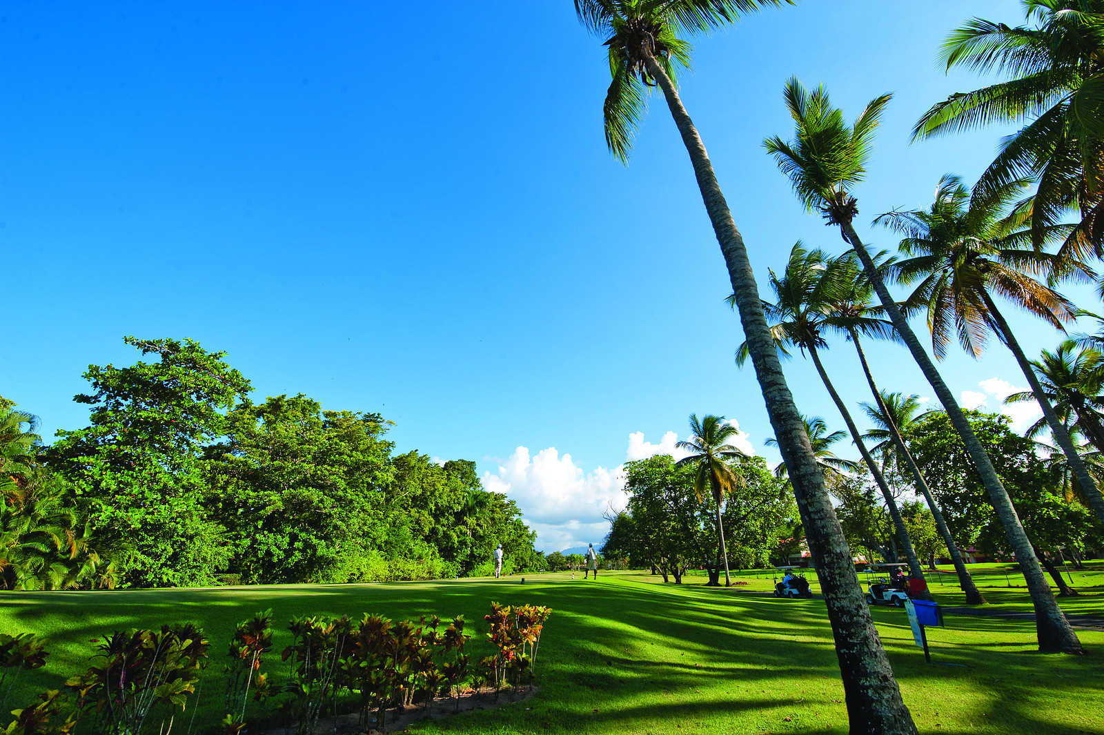 Golf-Playa-Dorada-5-X3_792bd6ed-0170-c4bc-97339b82925cace0